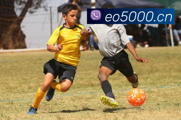 开云官方登录品牌故事