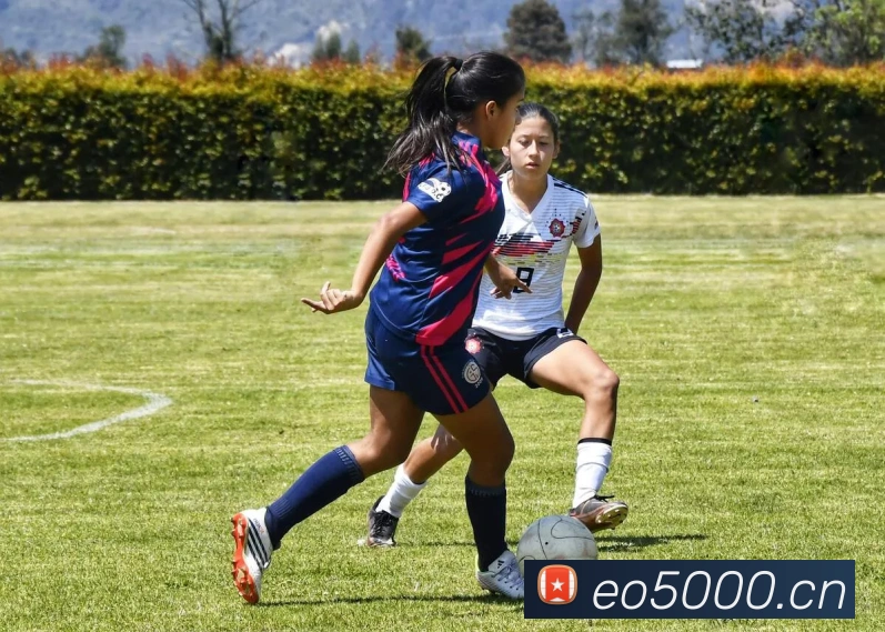 开云官方登录服务体系