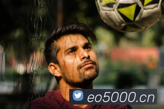 多媒体互动体验